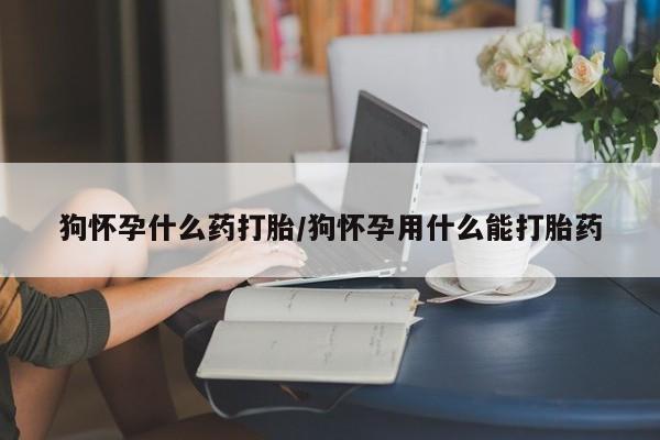 网上米非司酮在线下单微信狗怀孕什么药打胎/狗怀孕用什么能打胎药